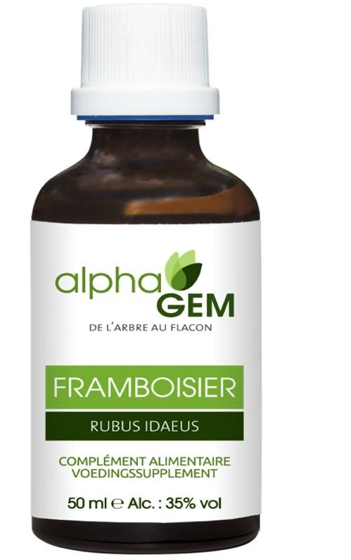 Gemmothérapie : Framboisier Bio