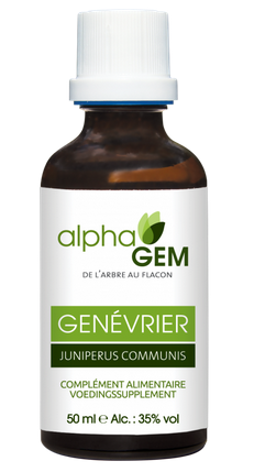 Gemmothérapie : Genévrier Bio