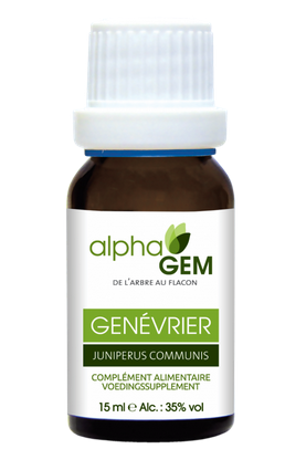 Gemmothérapie : Genévrier Bio