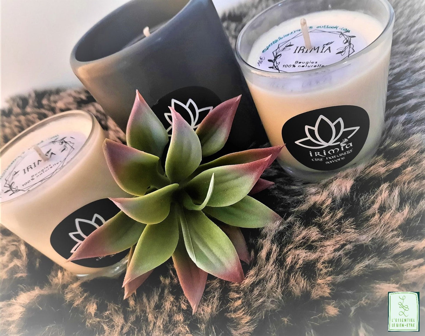 Bougie 100% naturelle à la cire de soja et Parfum de Grasse : Aloé Vera