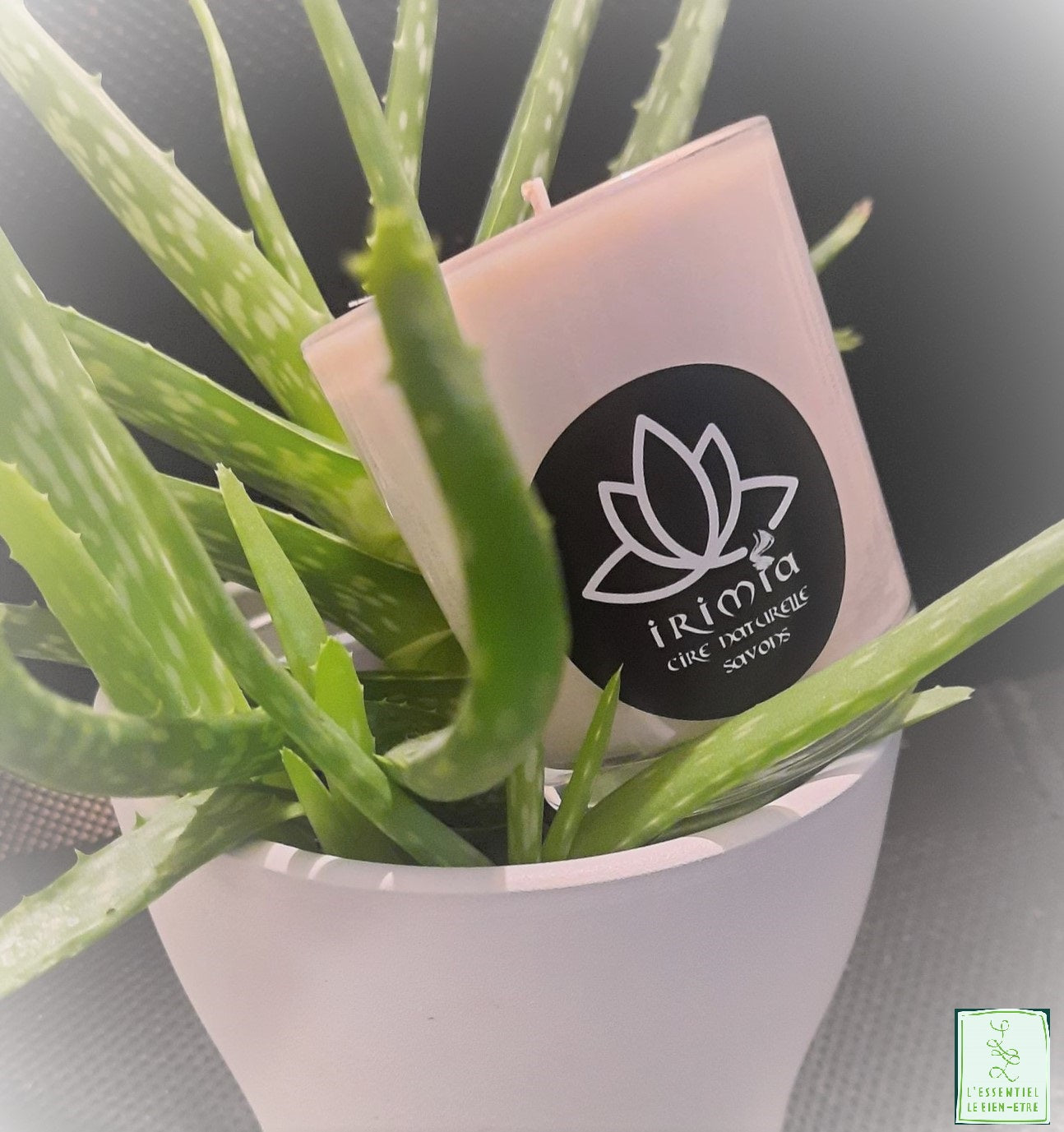Bougie 100% naturelle à la cire de soja et Parfum de Grasse : Aloé Vera