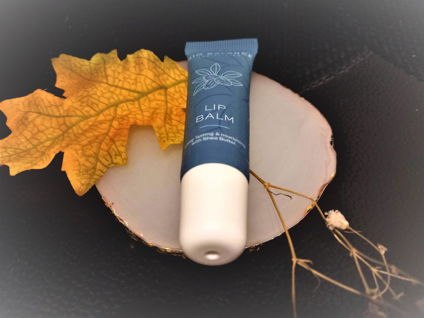 Baume à lèvres réparateur et nourrissant de Bio Balance