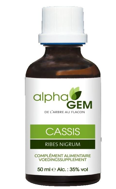 Gemmothérapie : CASSIS