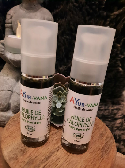 Huile de soins : Huile de Calophylle
